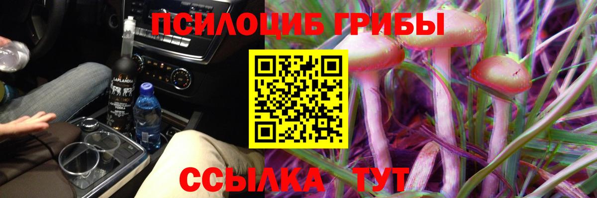 Псилоцибиновые грибы Cubensis Севастополь