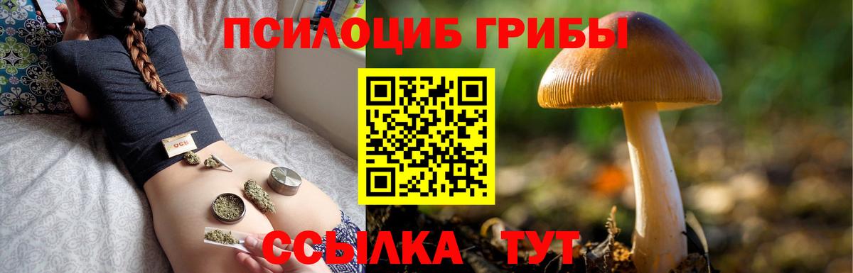 Псилоцибиновые грибы Psilocybine cubensis  Вход с VPN  Севастополь 